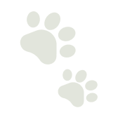 Paw print